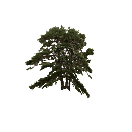 Screenshot of Tree, Pinus (Pine), 15m