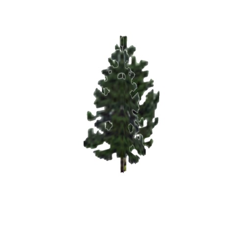 Screenshot of Tree, Pinus (Pine), 10m