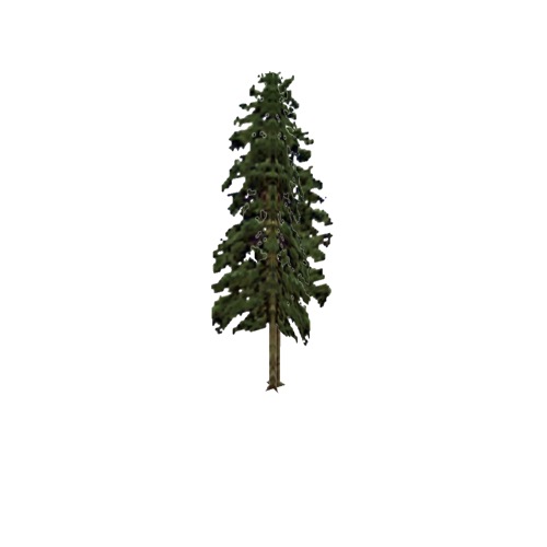Screenshot of Tree, Pinus (Pine), 22m