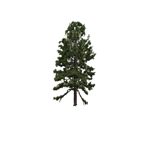 Screenshot of Tree, Pinus Taeda (Loblolly Pine), 21m