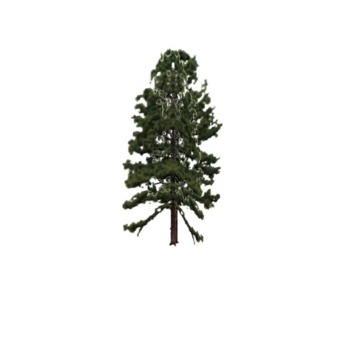 Screenshot of Tree, Pinus Taeda (Loblolly Pine), 24m