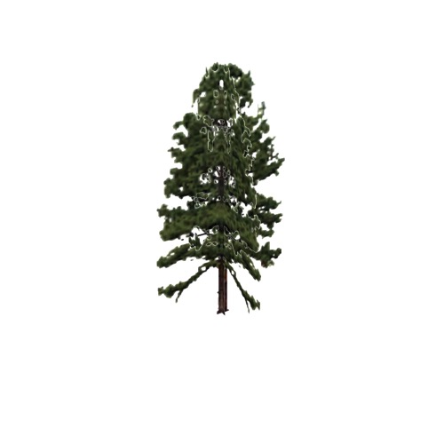 Screenshot of Tree, Pinus Taeda (Loblolly Pine), 25m