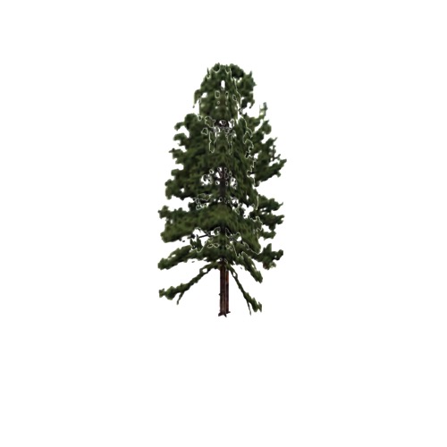 Screenshot of Tree, Pinus Taeda (Loblolly Pine), 27m