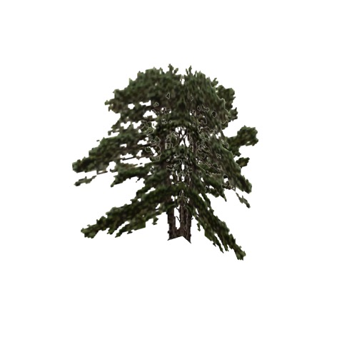 Screenshot of Tree, Pinus (Pine), 20m