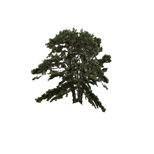 Screenshot of Tree, Pinus (Pine), 21m