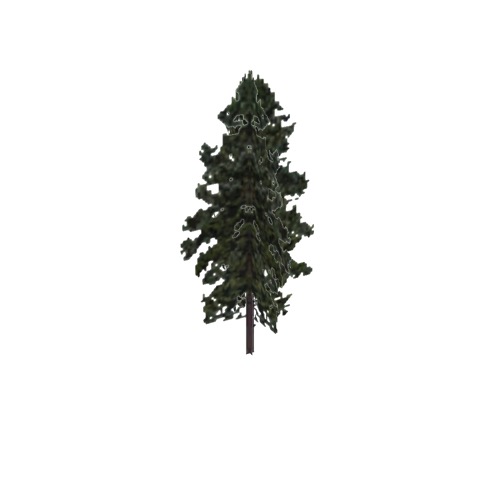 Screenshot of Tree, Pinus, Resinosa (Red Pine), 25m