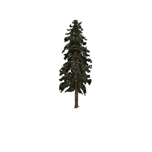 Screenshot of Tree, Pinus (Pine), 17m