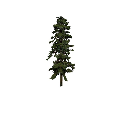 Screenshot of Tree, Pinus (Pine), 21m