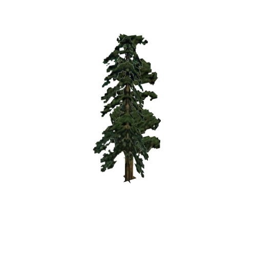 Screenshot of Tree, Pinus (Pine), 20m