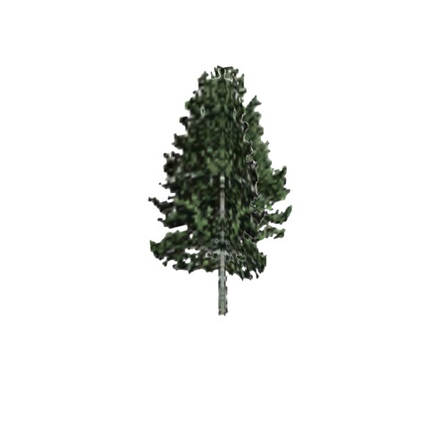 Screenshot of Tree, Populus (Aspen), 13m