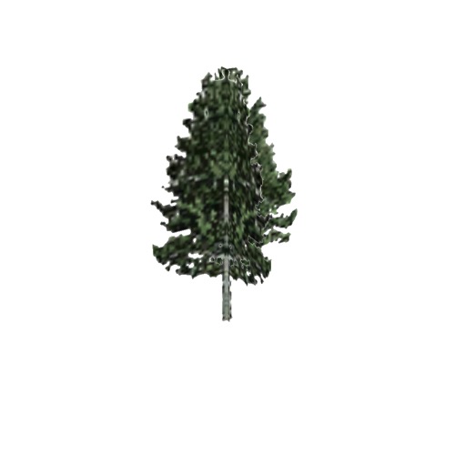 Screenshot of Tree, Populus (Aspen), 15m