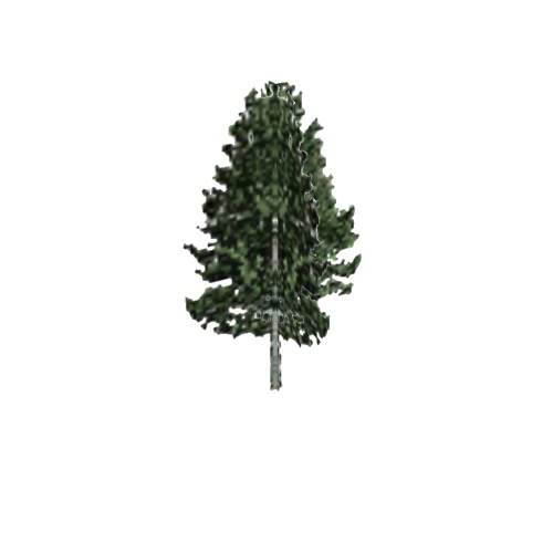 Screenshot of Tree, Populus (Aspen), 17m