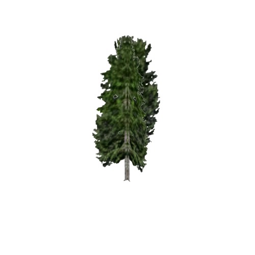 Screenshot of Tree, Populus (Aspen), 11m