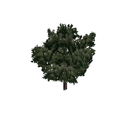 Screenshot of Tree, Quercus (Oak), 6m