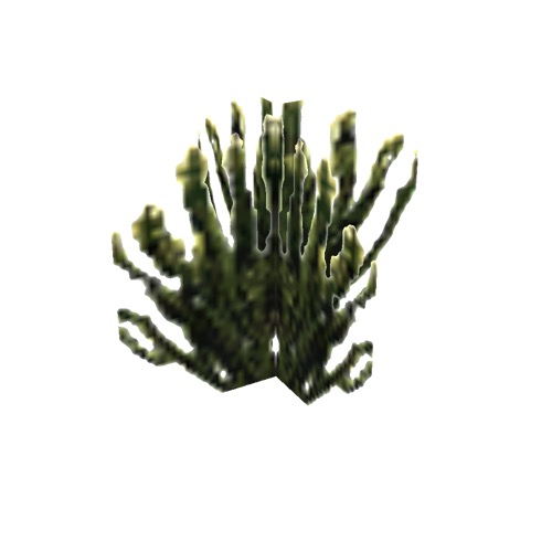 Screenshot of Cactus, Stenocereus (Organ Pipe), 3.5m