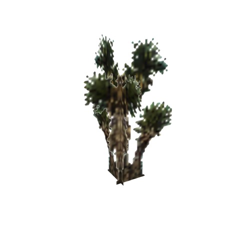 Screenshot of Shrub, Yucca, 4.5m