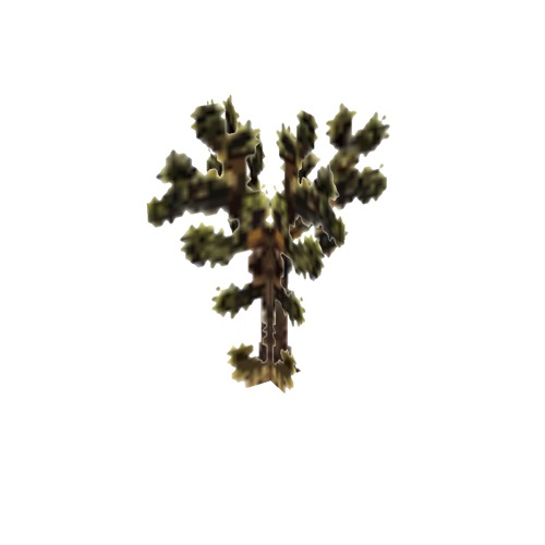 Screenshot of Tree, Yucca, Brevifolia (Joshua Tree), 6m